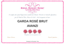 Carica l'immagine nel visualizzatore di Gallery, Riviera del Garda Classico Rosé Brut D.o.c. Spumante - Cartone da 6 bottiglie 0,75Lt