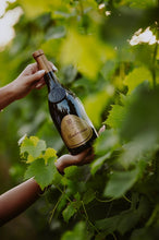 Carica l&#39;immagine nel visualizzatore di Gallery, Brunetto di Montecorno, Rebo 2020 - Scatola in legno da 6 bottiglie da 0,75Lt
