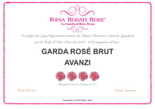 Carica l&#39;immagine nel visualizzatore di Gallery, Riviera del Garda Classico Rosé Brut D.o.c. Spumante - Cartone da 6 bottiglie 0,75Lt
